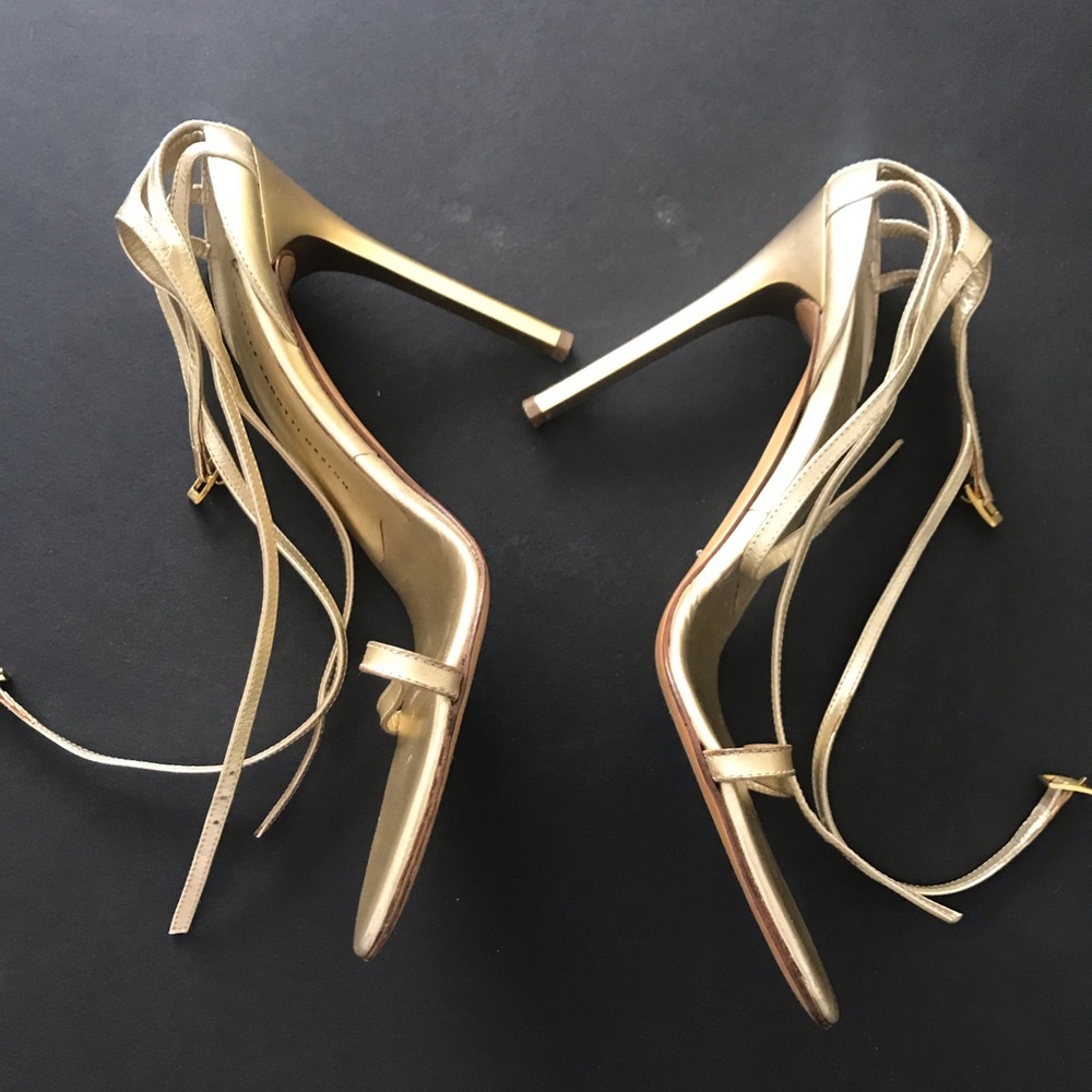 Giuseppe Zanotti